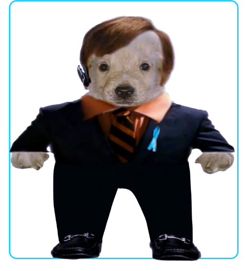 Um cachorro vestindo um paleto